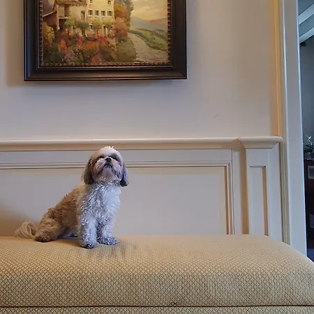 Hotell Relais Selvatico Roncade