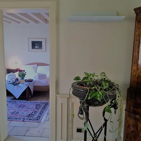 酒店 Relais Selvatico 容卡德