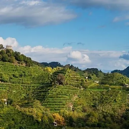 Relais Selvatico