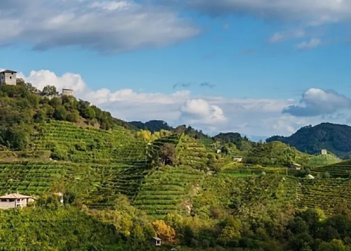 Relais Selvatico